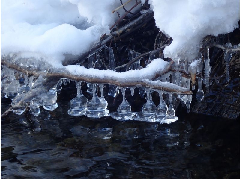 【手ぶらSUP】写真付き！北海道初上陸クリアSUPで、水質11年連続日本1位を誇る湖・川を体感！アメニティー各種無料！初心者・カップル歓迎！の紹介画像