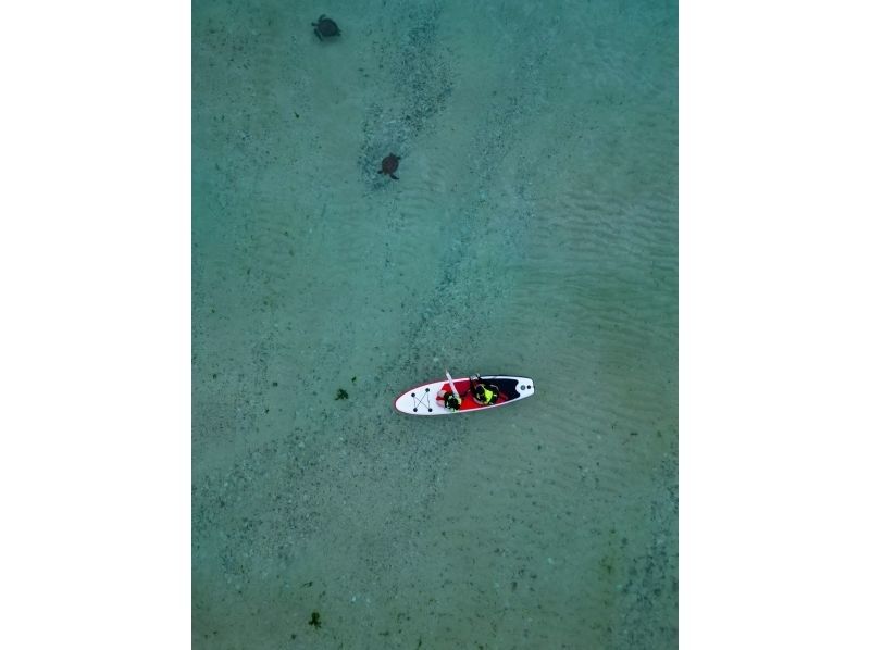 【沖縄本島】感動の出会い！ウミガメが泳ぐ楽園ビーチでSUPクルージングの紹介画像