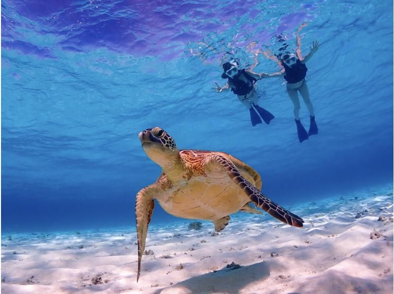 [Miyakojima] The shortest route to Yaebiji - sailing from Ikema Island! We are confident in drone photography and photo data! Yabiji half-day snorkeling in one of Japan's largest coral reefs (small group size)の紹介画像