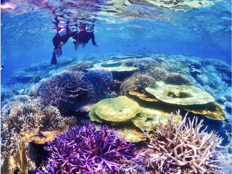 [Miyakojima] The shortest route to Yaebiji - sailing from Ikema Island! We are confident in drone photography and photo data! Yabiji half-day snorkeling in one of Japan's largest coral reefs (small group size)の紹介画像