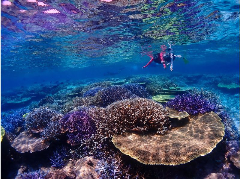 [Miyakojima] The shortest route to Yaebiji - sailing from Ikema Island! We are confident in drone photography and photo data! Yabiji half-day snorkeling in one of Japan's largest coral reefs (small group size)の紹介画像