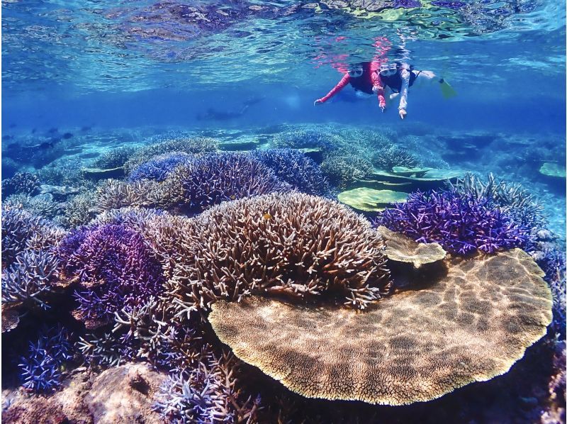 【宮古島】八重干瀬まで最短・池間島出航！ドローン撮影・写真データに自信あり！日本最大級のサンゴ礁で泳ぐヤビジ半日シュノーケル《少人数制》の紹介画像