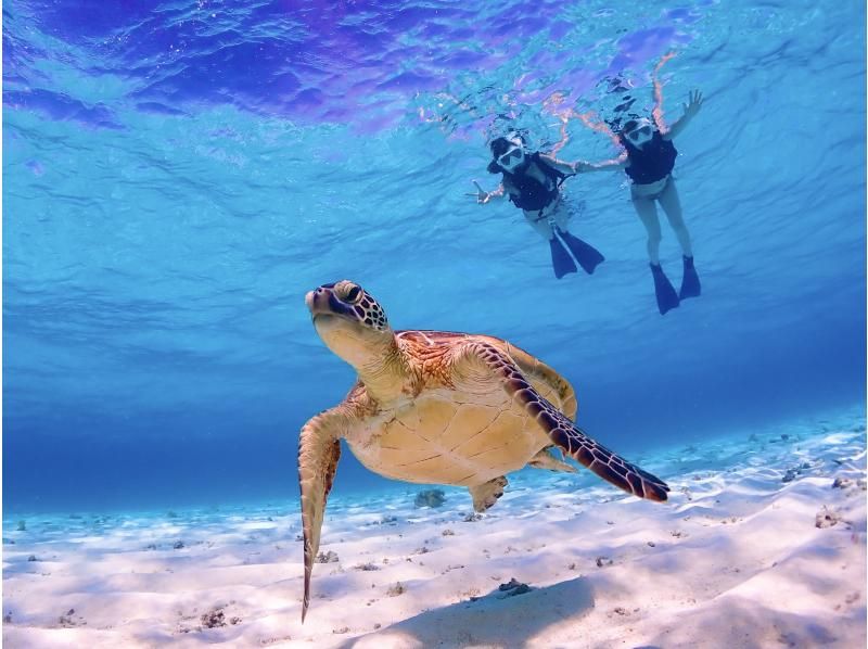 【宮古島】八重干瀬まで最短・池間島出航！ドローン撮影・写真データに自信あり！日本最大級のサンゴ礁で泳ぐヤビジ半日シュノーケル《少人数制》の紹介画像