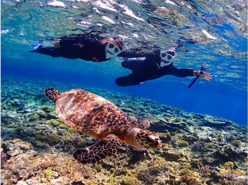 [Miyakojima] The shortest route to Yaebiji - sailing from Ikema Island! We are confident in drone photography and photo data! Yabiji half-day snorkeling in one of Japan's largest coral reefs (small group size)の紹介画像