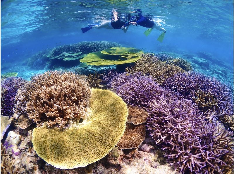 [Miyakojima] The shortest route to Yaebiji - sailing from Ikema Island! We are confident in drone photography and photo data! Yabiji half-day snorkeling in one of Japan's largest coral reefs (small group size)の紹介画像