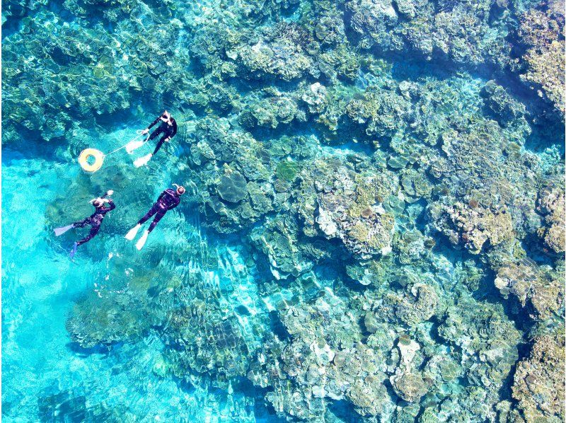 【宮古島】八重干瀬まで最短・池間島出航！ドローン撮影・写真データに自信あり！日本最大級のサンゴ礁で泳ぐヤビジ半日シュノーケル《少人数制》の紹介画像