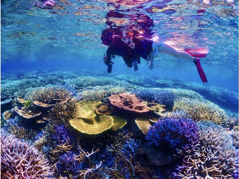 【宮古島】八重干瀬まで最短・池間島出航！ドローン撮影・写真データに自信あり！日本最大級のサンゴ礁で泳ぐヤビジ半日シュノーケル《少人数制》の紹介画像