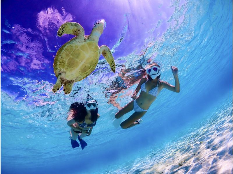 [Miyakojima] Departing from Ikema Island, the shortest route to Yaebiji! We are confident in our drone photography and photo data! A half-day skin diving tour of Japan's largest coral reef (small group size)の紹介画像