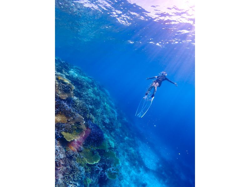 [Miyakojima] Departing from Ikema Island, the shortest route to Yaebiji! We are confident in our drone photography and photo data! A half-day skin diving tour of Japan's largest coral reef (small group size)の紹介画像