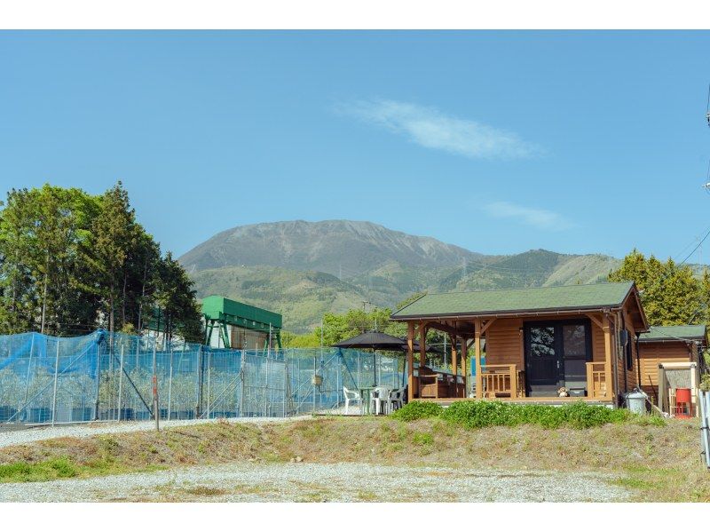 [Shiga / Maibara] Experience picking ripe blueberries at the foot of Mt. Ibuki. Enjoy unlimited time and all-you-can-eat large, sweet blueberries!の紹介画像