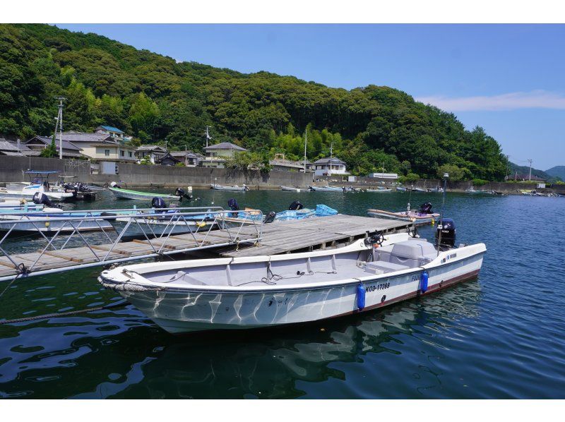 【幻の魚を狙おう！】〝浦ノ内湾で日本三大怪魚(アカメ)〟を釣りあげよう！　 ＊手ぶらでOK・インストラクターも同行！の紹介画像