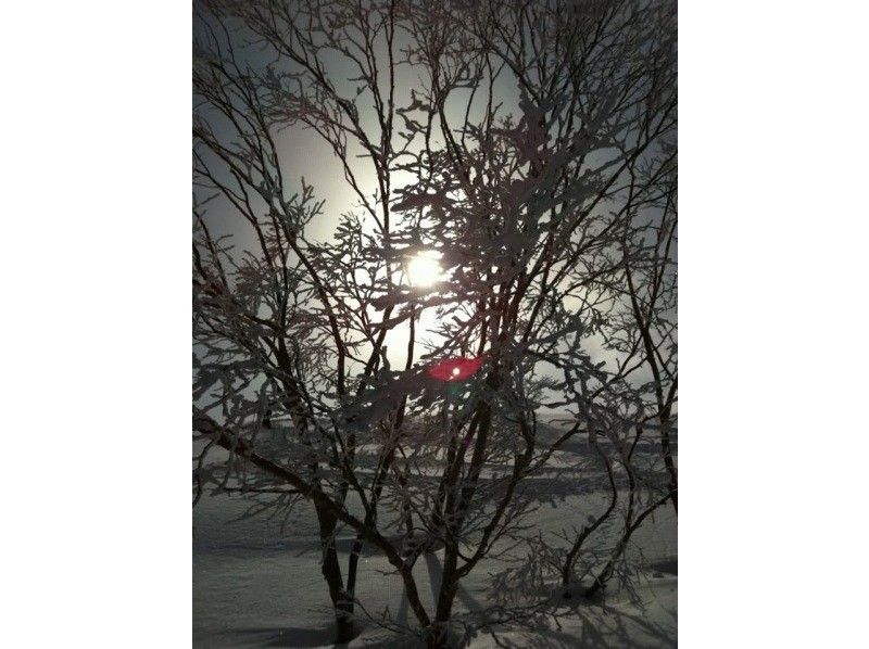 三重県　御在所　スノーシュートレッキングの紹介画像