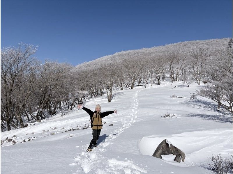 三重県　御在所　スノーシュートレッキングの紹介画像