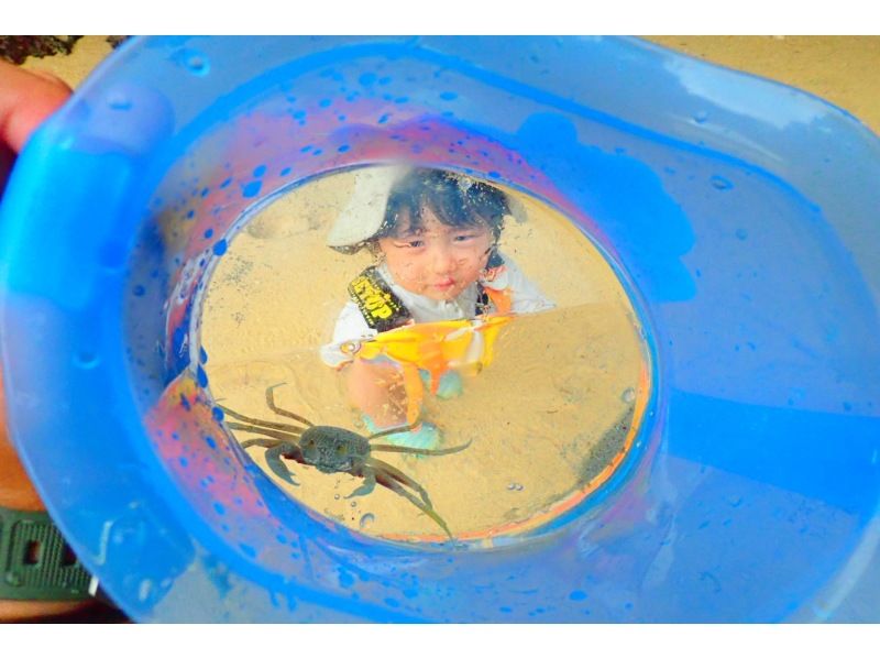 ☆主役は２歳☆ママパパ安心の１組完全貸切！【恩納村・０～2歳無料】「うちの子、楽しめるかな？」2歳児を育児中のパパが引率する特別ツアー！！の紹介画像