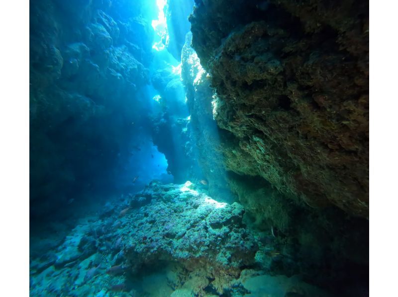 [Okinawa Nago, Sesoko Island/Minna Island] Near Churaumi Aquarium, 2 boat diving! Beginners are welcome!の紹介画像