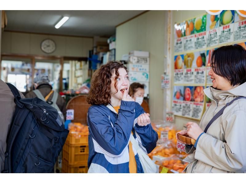 【和歌山県・那智勝浦】時を超える勝浦まちあるきフードツアー（プライベートツアー）の紹介画像