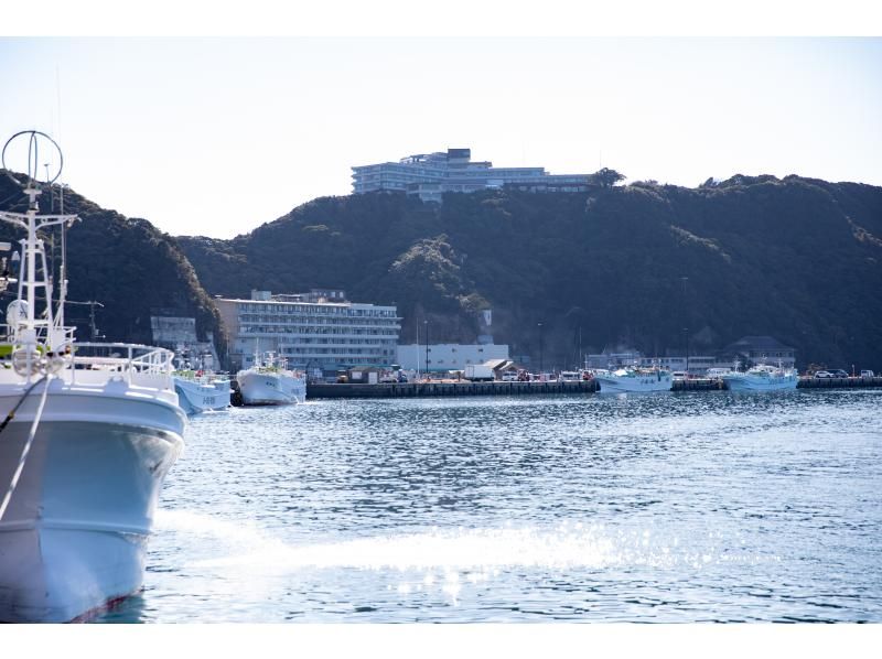 【和歌山県・那智勝浦】時を超える勝浦まちあるきフードツアー（プライベートツアー）の紹介画像