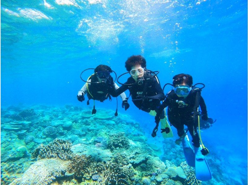 【沖縄北部・水納島・瀬底島 】ボート体験ダイビング2ダイブ 初心者大歓迎！　(10歳から参加OK) 　写真・動画無料プレゼント！の紹介画像