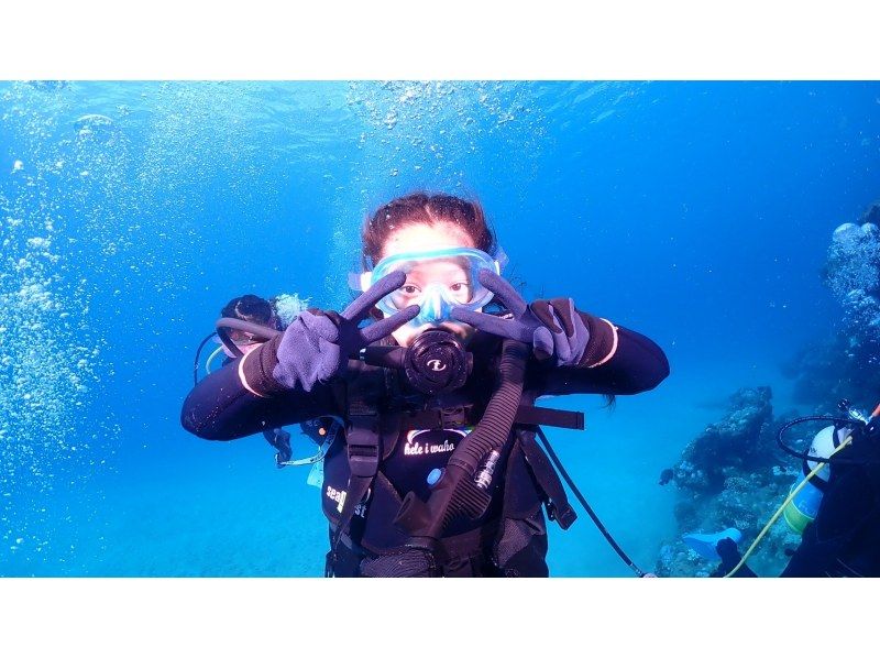 【沖縄北部・水納島・瀬底島 】ボート体験ダイビング2ダイブ 初心者大歓迎！　(10歳から参加OK) 　写真・動画無料プレゼント！の紹介画像