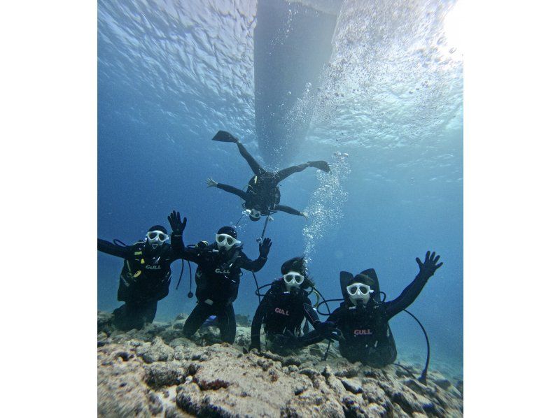 【沖縄北部・水納島・瀬底島 】ボート体験ダイビング2ダイブ 初心者大歓迎！　(10歳から参加OK) 　写真・動画無料プレゼント！の紹介画像