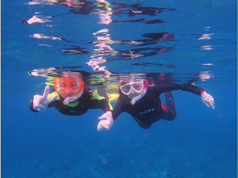 [YAKUSHIMA Snorkeling] Half-day course with video recordingの紹介画像