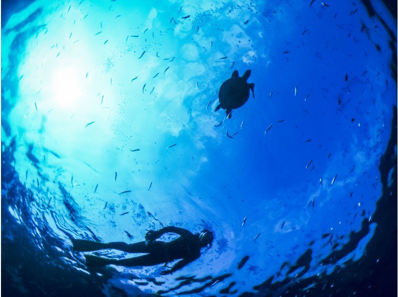 [YAKUSHIMA Snorkeling] Half-day course with video recordingの紹介画像