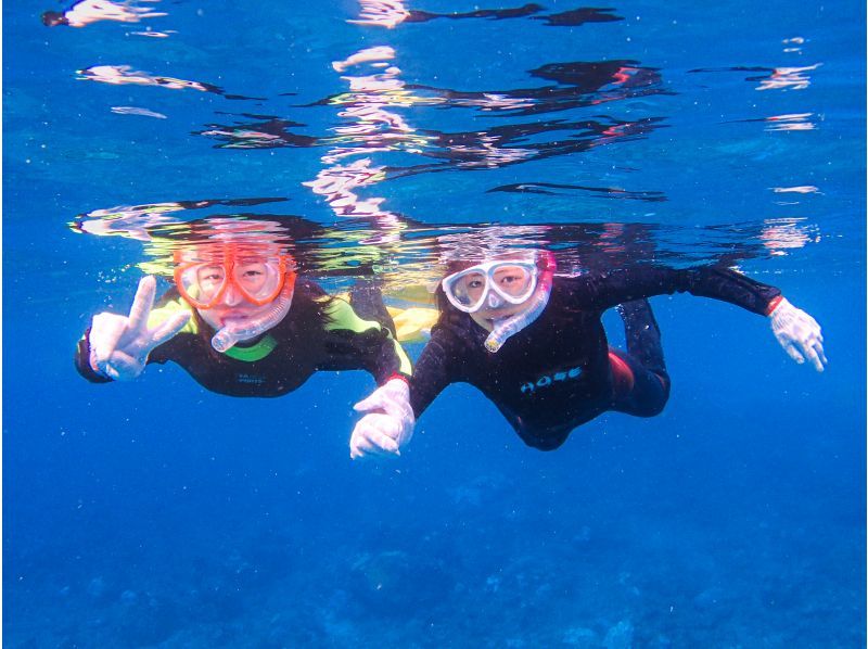 [YAKUSHIMA Snorkeling] Half-day course with video recordingの紹介画像