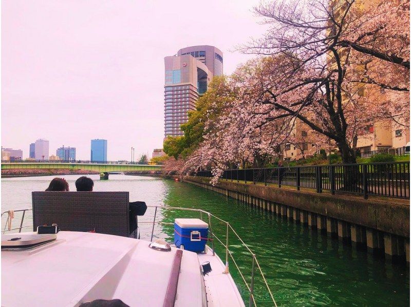 [大阪, 天滿橋] 私人賞櫻遊船の紹介画像