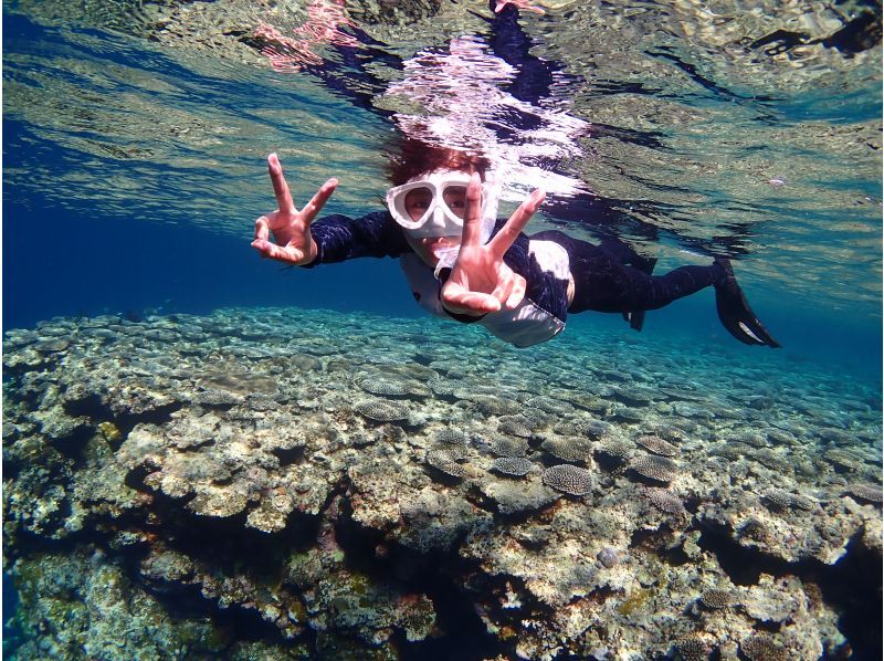 [Okinawa, Ishigaki Island] Enjoy sightseeing in the afternoon - Snorkeling in the Sekisei Lagoon! Small children are welcome to join! [Free equipment rental & tour photo gift]の紹介画像