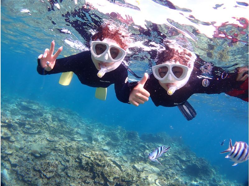 [Okinawa, Ishigaki Island] Enjoy sightseeing in the afternoon - Snorkeling in the Sekisei Lagoon! Small children are welcome to join! [Free equipment rental & tour photo gift]の紹介画像