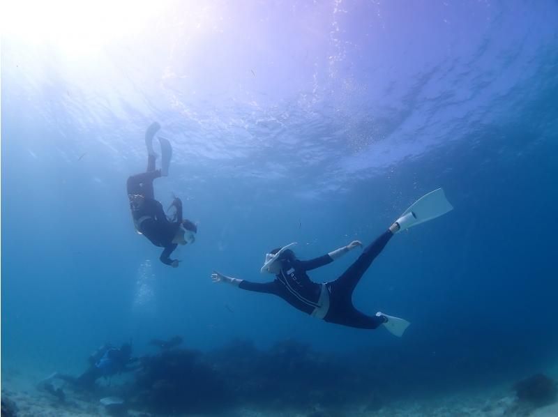 【沖縄・石垣島】午後は観光も楽しめる‐石西礁湖でシュノーケリング！小さなお子様もご参加OK！【器材レンタル無料＆ツアー写真プレゼント】の紹介画像