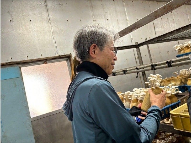 【長野・東筑摩郡】★2025さくらんぼ★よくばりグルメのサイクリングツアー（春編）の紹介画像
