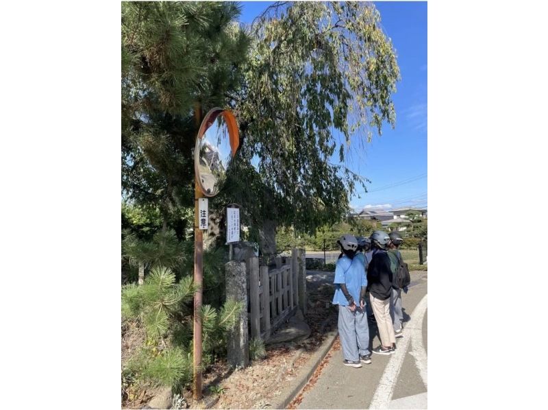 【長野・東筑摩郡】★2025さくらんぼ★よくばりグルメのサイクリングツアー（春編）の紹介画像