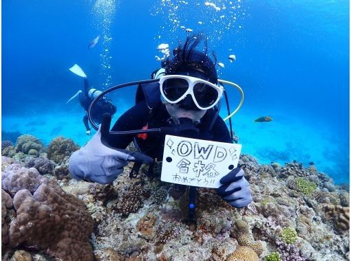 世界中で潜れる国際カード【PADI・CMAS・NAUIその他】ダイビングライセンスが8,800円から! 世界中で潜れる国際カード【PADI・CMAS・NAUIその他】ダイビングライセンスが8,800円から!