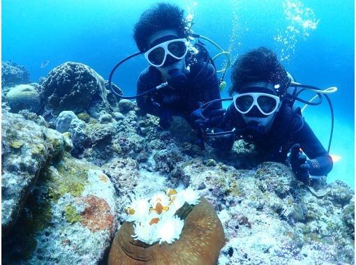世界中で潜れる国際カード【PADI・CMAS・NAUIその他】ダイビングライセンスが8,800円から! 世界中で潜れる国際カード【PADI・CMAS・NAUIその他】ダイビングライセンスが8,800円から!