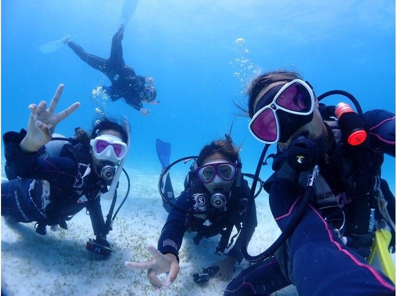 [Departing from Ishigaki City, Okinawa Prefecture] 4 trips a day for introductory divingの紹介画像