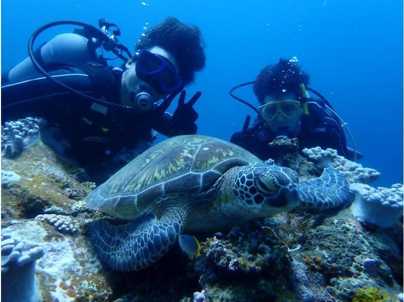 [Okinawa Prefecture, Ishigaki Island City Area] One-Day Diving & Snorkeling Experienceの紹介画像