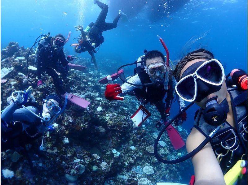 [Okinawa Prefecture, Ishigaki Island City Departure] AM Experience Divingの紹介画像