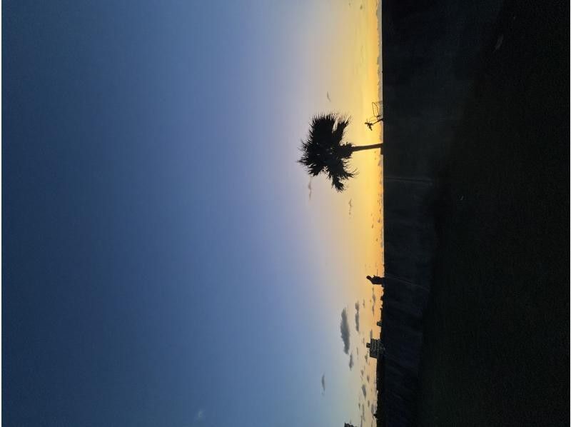 [Okinawa, Ishigaki Island city area departure] Night snorkeling courseの紹介画像