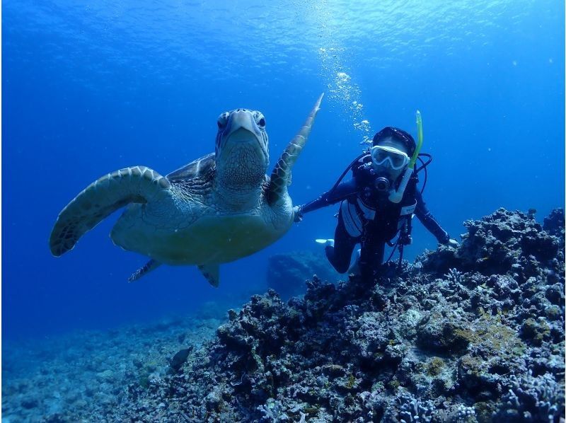 [Okinawa Prefecture, Ishigaki City] One-day snorkelingの紹介画像
