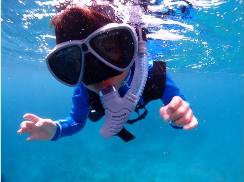 [Okinawa Prefecture, Ishigaki City] One-day snorkelingの紹介画像