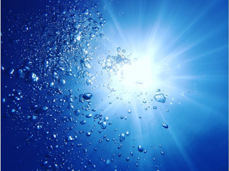 [Okinawa Prefecture, Ishigaki Island City Departure] PM Snorkeling Course (Phantom Island ☆ Hamajima Landing Snorkeling Included)の紹介画像