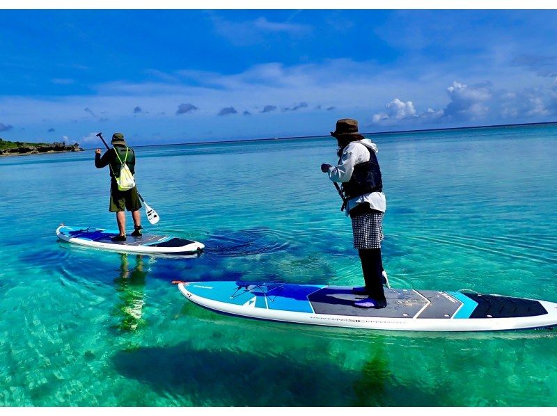 【今帰仁村、古宇利島、美ら海水族館、名護市周辺開催】冬の人が少ない美ら海を完全貸切♪オフシーズン限定SUPクルージング♪（ウェット無料貸出）の紹介画像