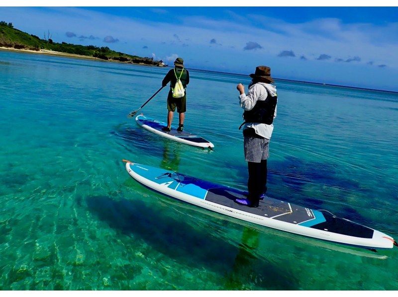 【今帰仁村、古宇利島、美ら海水族館、名護市周辺開催】冬の人が少ない美ら海を完全貸切♪オフシーズン限定SUPクルージング♪（ウェット無料貸出）の紹介画像