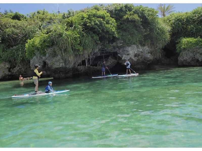 【今帰仁村、古宇利島、美ら海水族館、名護市周辺開催】冬の人が少ない美ら海を完全貸切♪オフシーズン限定SUPクルージング♪（ウェット無料貸出）の紹介画像