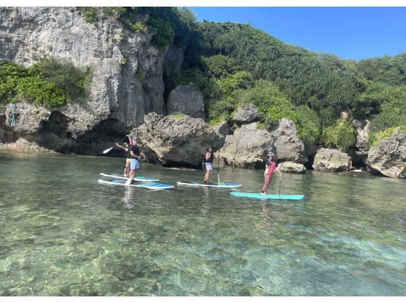 【今帰仁村、古宇利島、美ら海水族館、名護市周辺開催】冬の人が少ない美ら海を完全貸切♪オフシーズン限定SUPクルージング♪（ウェット無料貸出）の紹介画像
