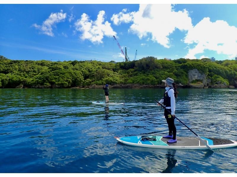 【今帰仁村、古宇利島、美ら海水族館、名護市周辺開催】冬の人が少ない美ら海を完全貸切♪オフシーズン限定SUPクルージング♪（ウェット無料貸出）の紹介画像