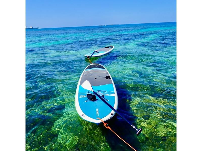 【今帰仁村、古宇利島、美ら海水族館、ジャングリア周辺開催】１組貸切り♪ SUP &シュノーケリング♪ 思い出の写真は無料プレゼント♪の紹介画像