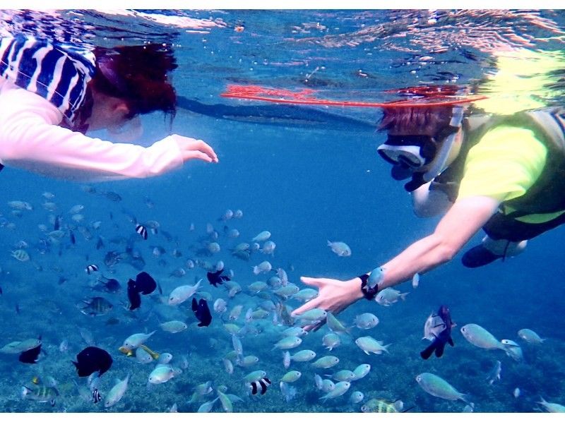 【今帰仁村、古宇利島、美ら海水族館、ジャングリア周辺開催】 完全貸切 SUP & シュノーケリング｜思い出の写真データ無料プレゼントの紹介画像