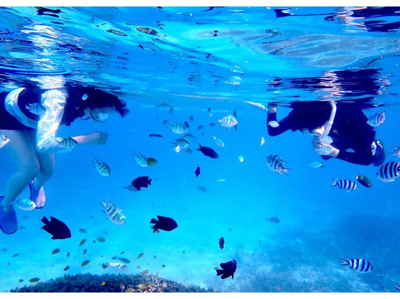 【今帰仁村、古宇利島、美ら海水族館、ジャングリア周辺開催】 完全貸切 SUP & シュノーケリング｜思い出の写真データ無料プレゼントの紹介画像